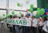 Транспарант 50х200 см, шелк, с карманами