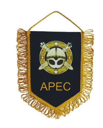 Вымпел жесткий печатный с бахромой, 15х22 см